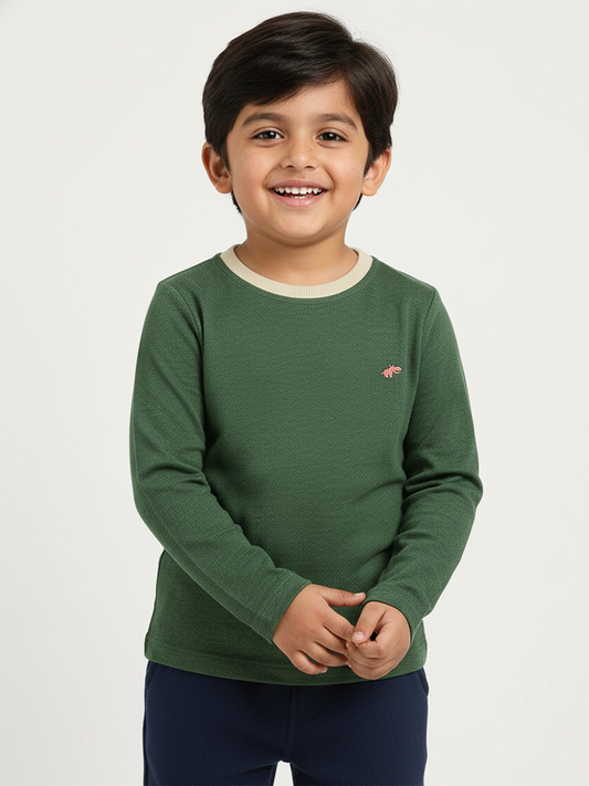 Green Mélange 100% Cotton Regular Long Sleeves T-shirt