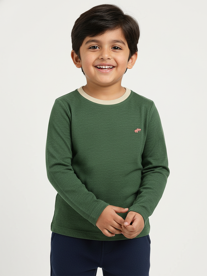 Green Mélange 100% Cotton Regular Long Sleeves T-shirt