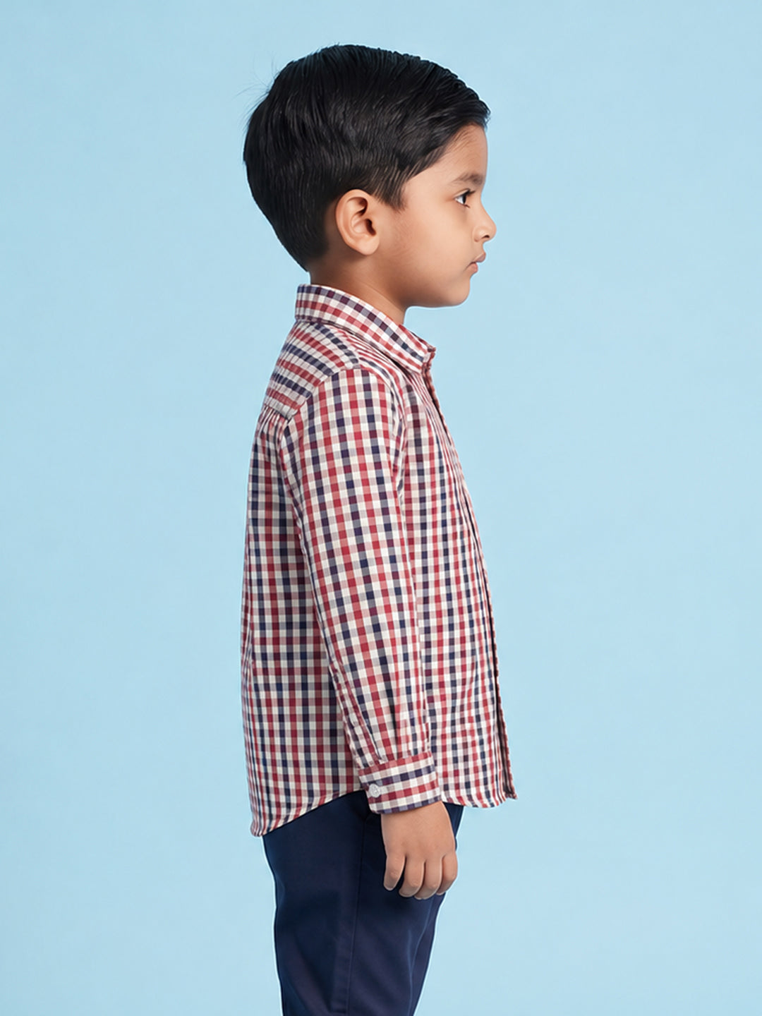 The Picnic Checks Shirt in Red and Navy Blue